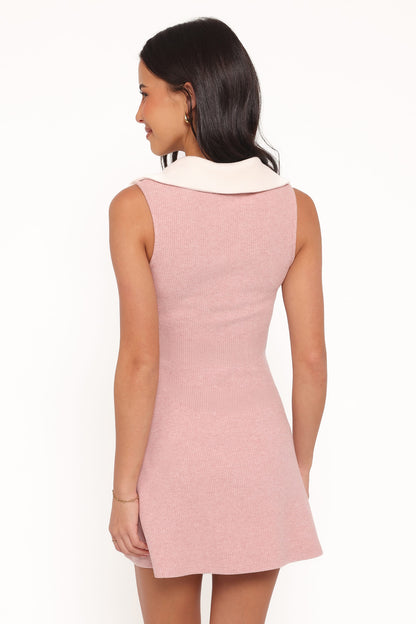 Curtis Pembe Mini Elbise